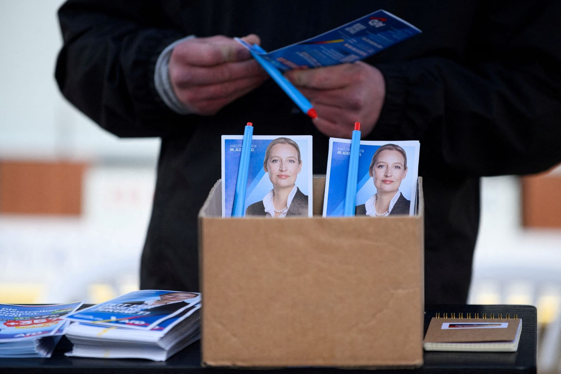 GERMANY-ELECTION/AFD