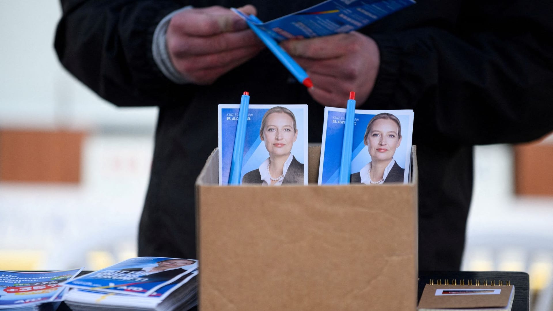 GERMANY-ELECTION/AFD