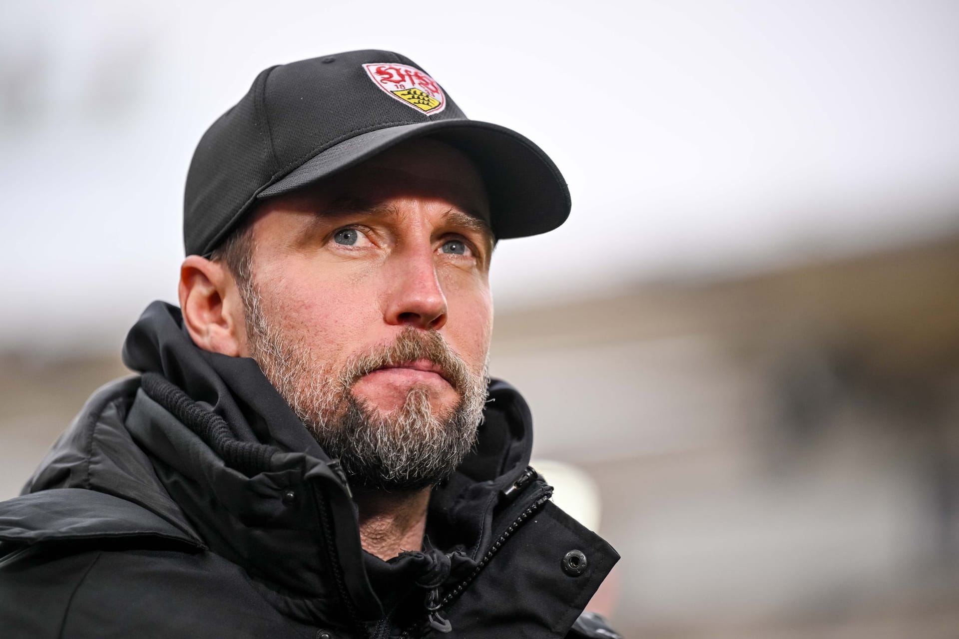 VfB Stuttgart - VfL Wolfsburg