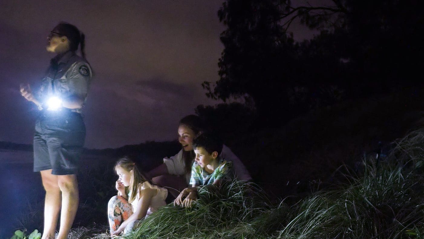 An einem Strand in Australien können Beobachter Meeresschildkröten ganz nah kommen.