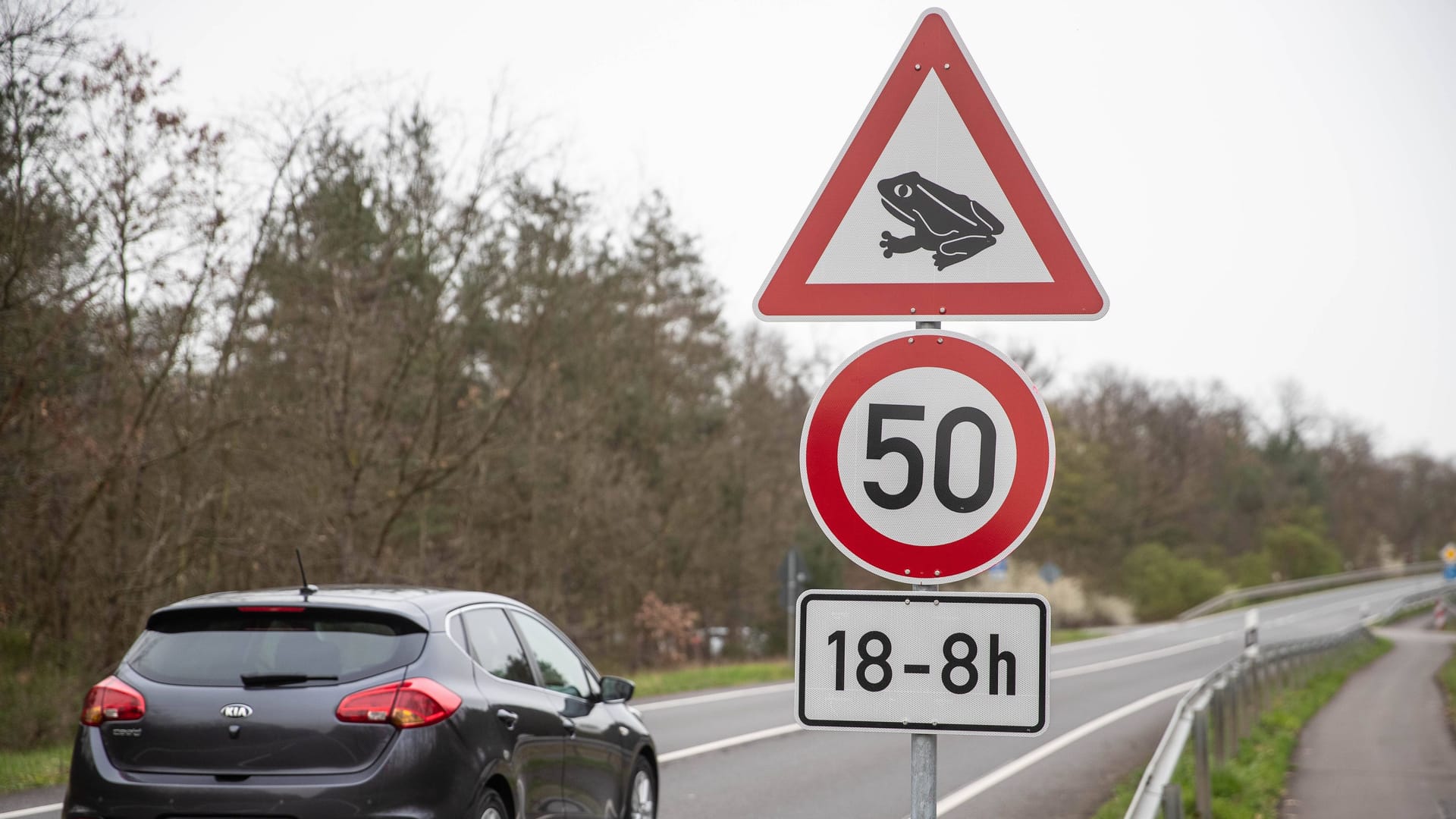 Tempo drosseln: Häufig weisen Schilder auf die Krötenwanderung hin. Dann gilt besondere Vorsicht.