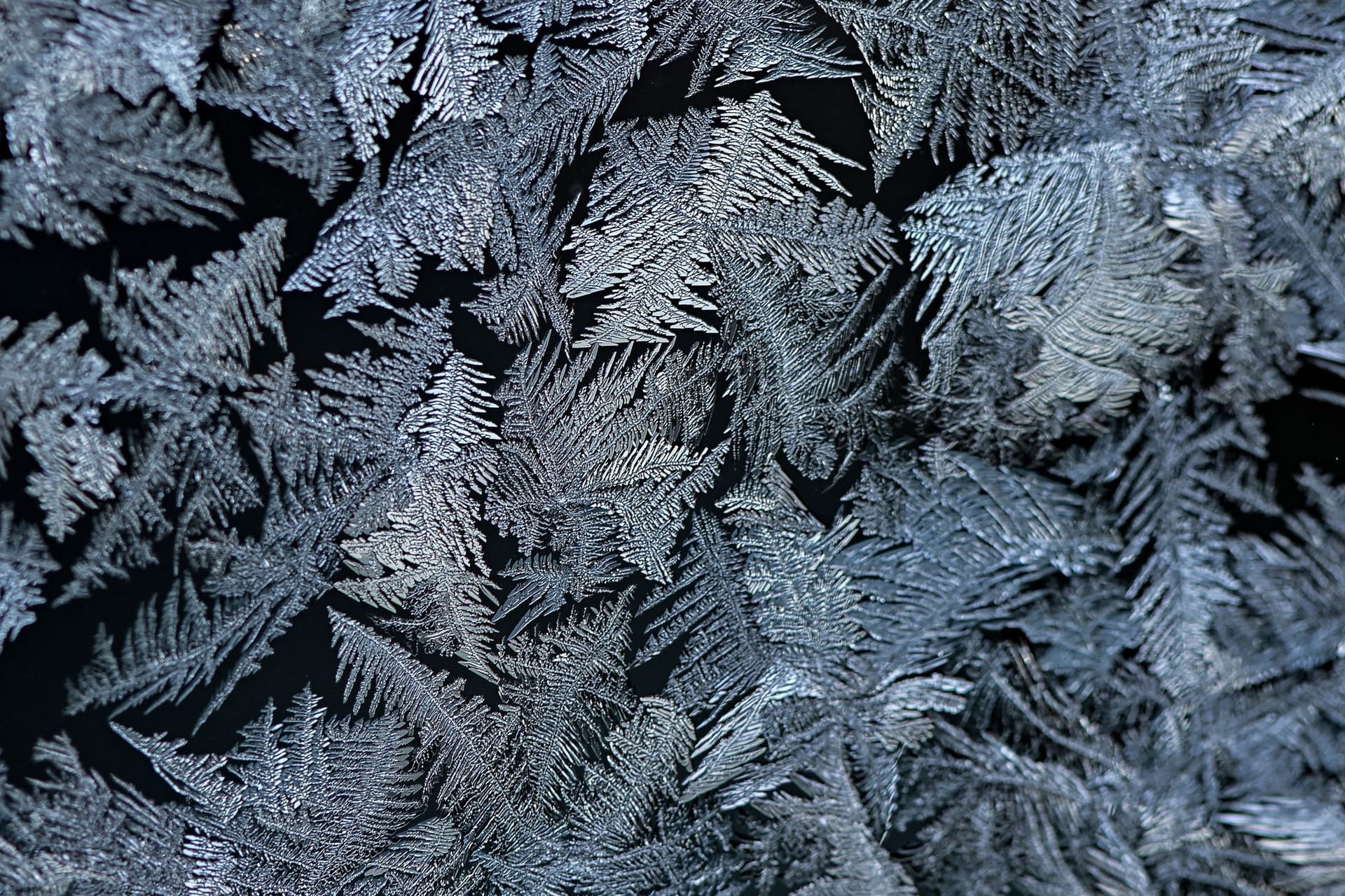 Eisblumen am Fenster