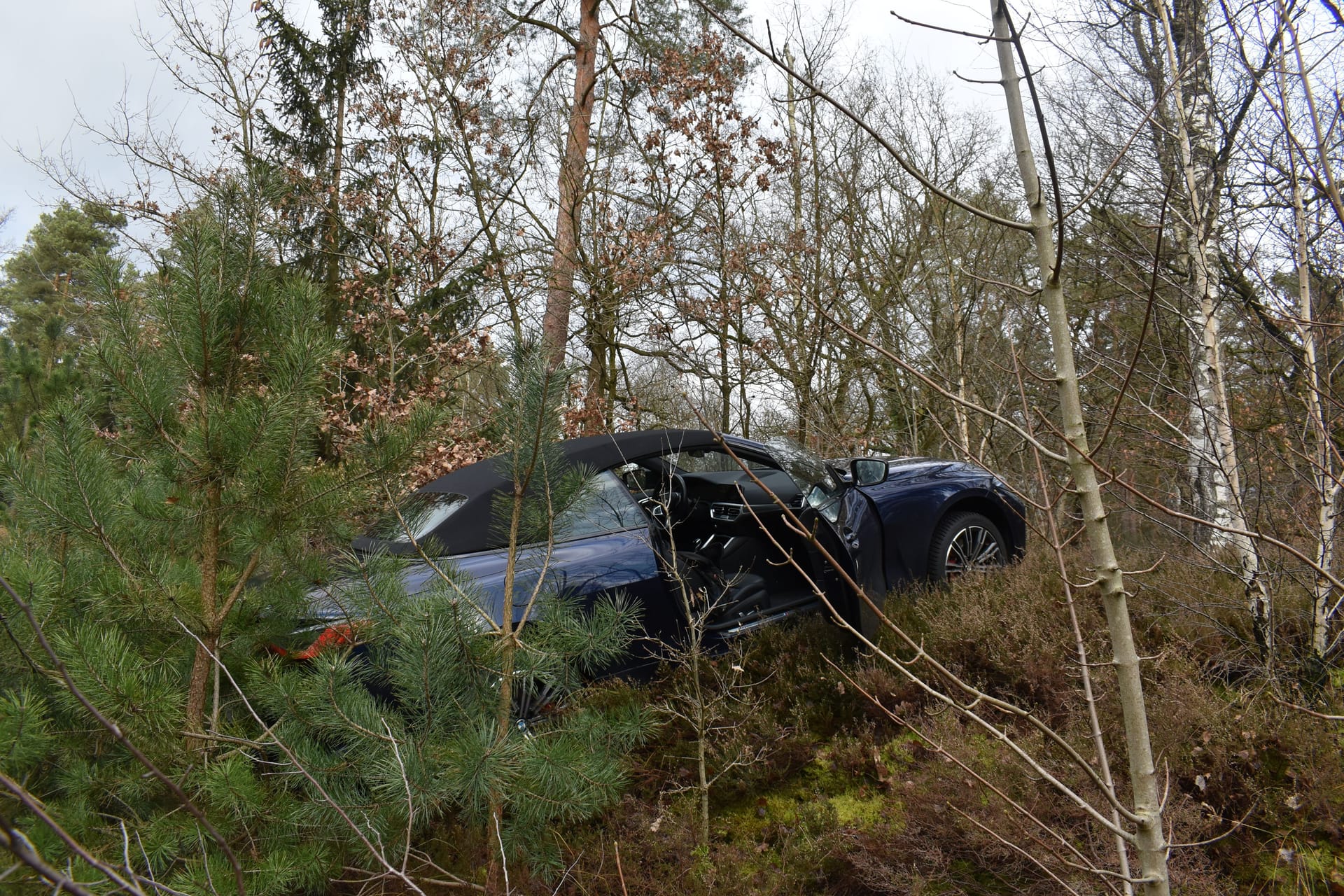 Sekundenschlaf mit Folgen: Das Cabrio landete im Gebüsch.