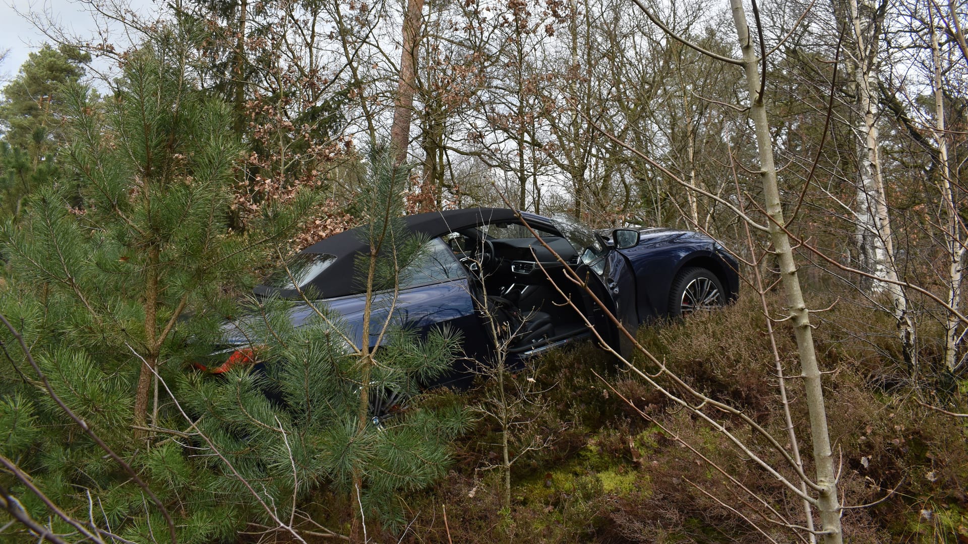 Sekundenschlaf mit Folgen: Das Cabrio landete im Gebüsch.