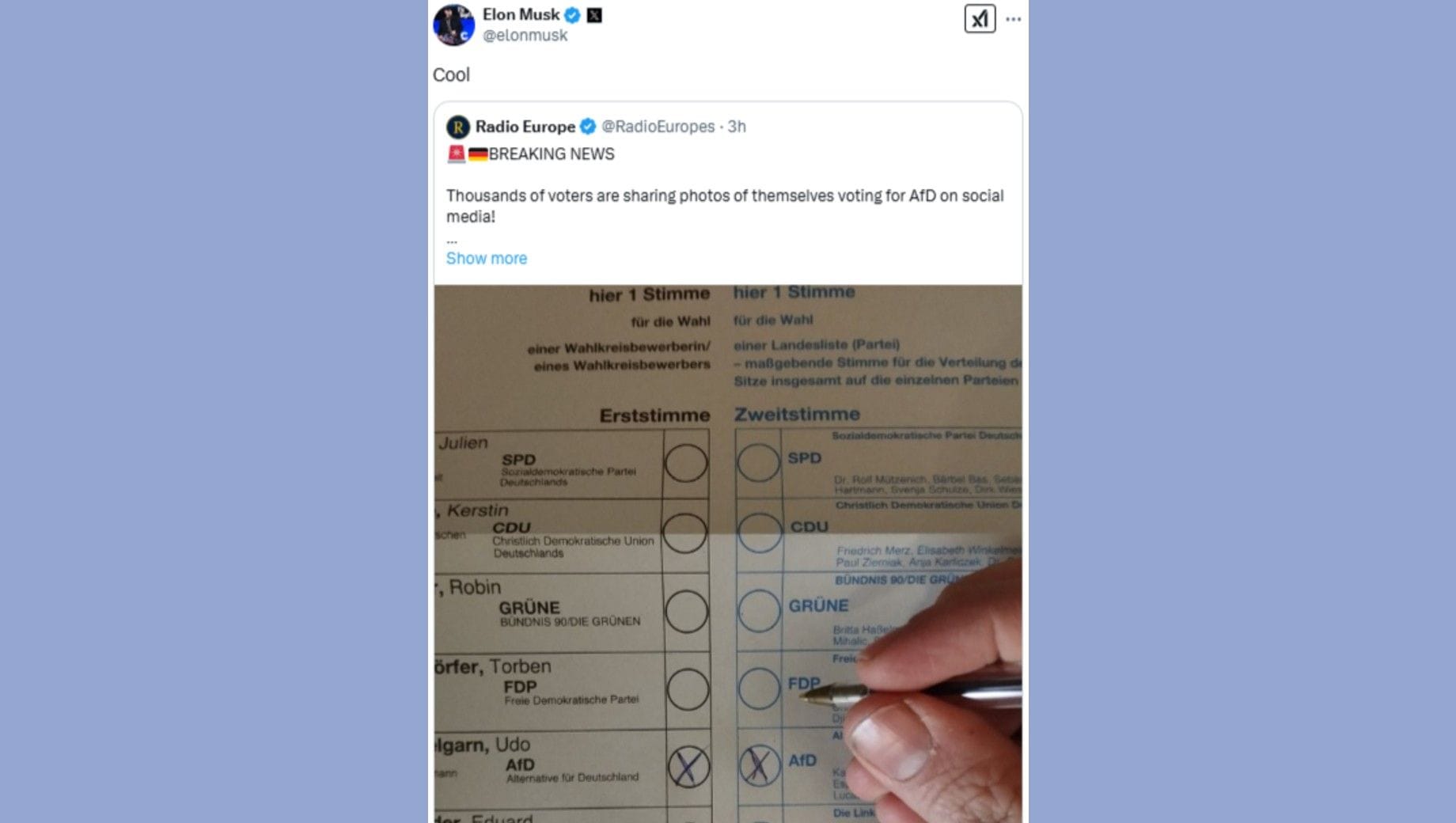 Kreuzchen bei der AfD: "Radio Europa" verbreitete das Foto aus dem Wahlkreis Lippe, Elon Musk retweetete.