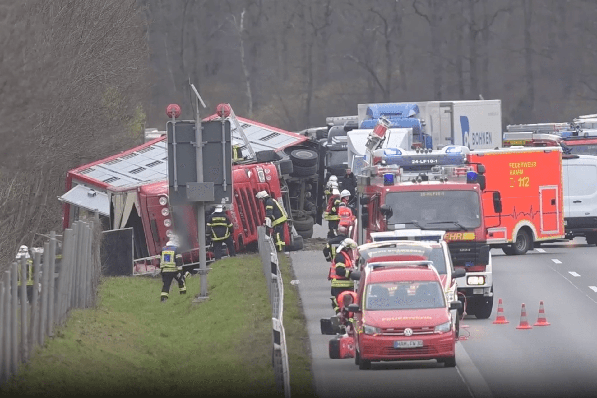 Rund 30 Schweine sind nach dem Unfall eines Tiertransporters in den angrenzenden Wald geflüchtet.