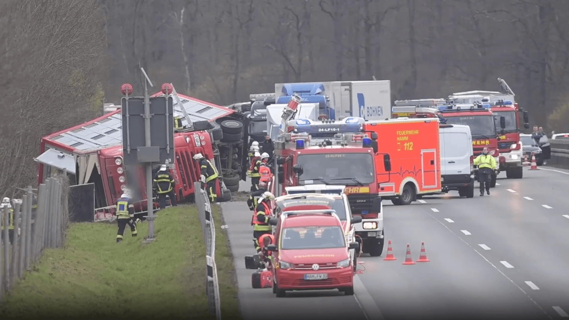 Rund 30 Schweine sind nach dem Unfall eines Tiertransporters in den angrenzenden Wald geflüchtet.