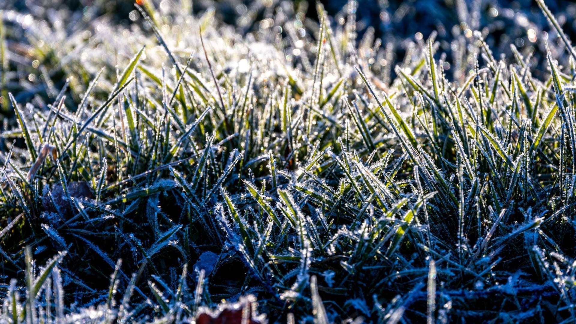 Frostiges Wetter in Norddeutschland