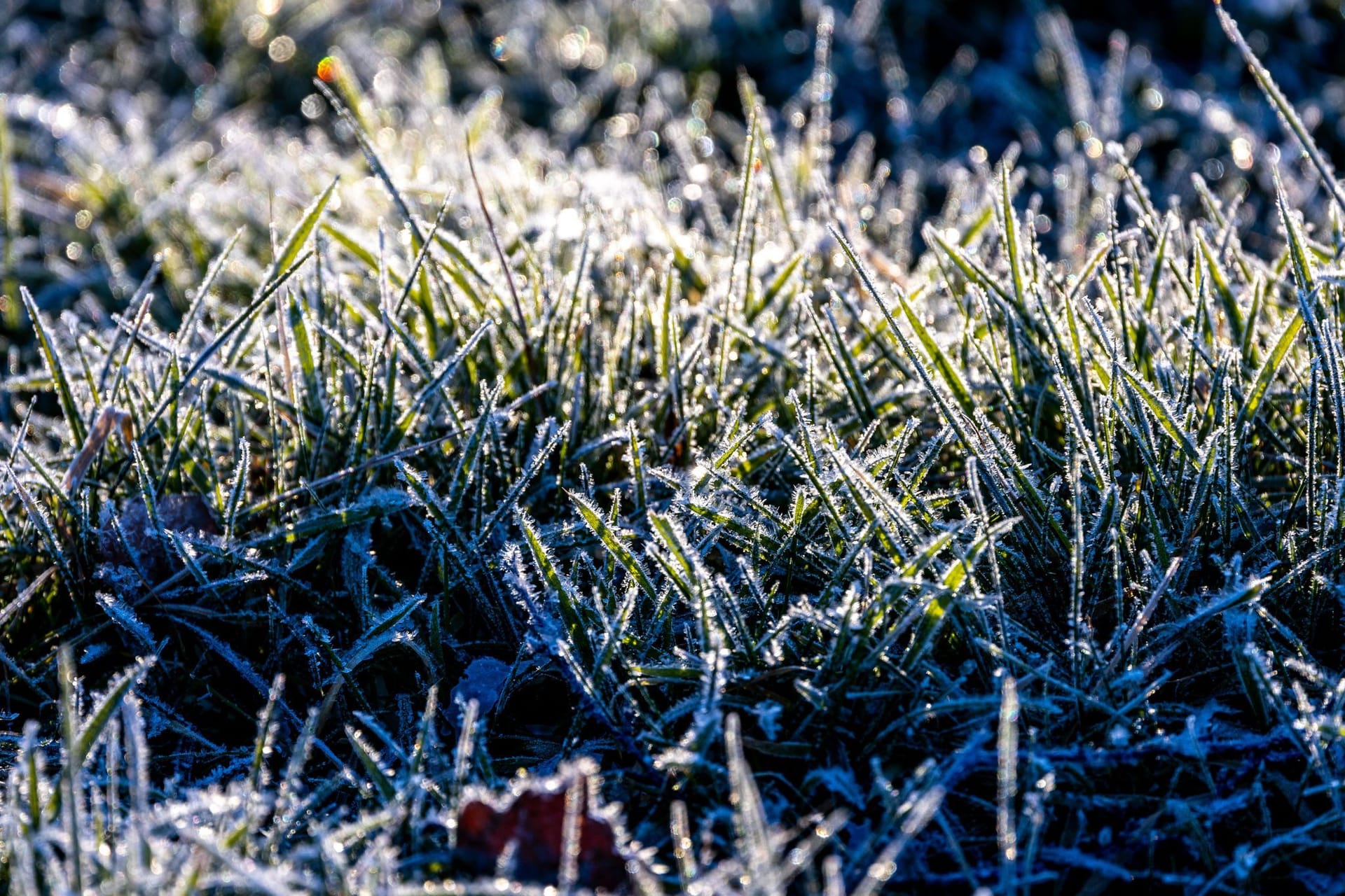 Frostiges Wetter in Norddeutschland