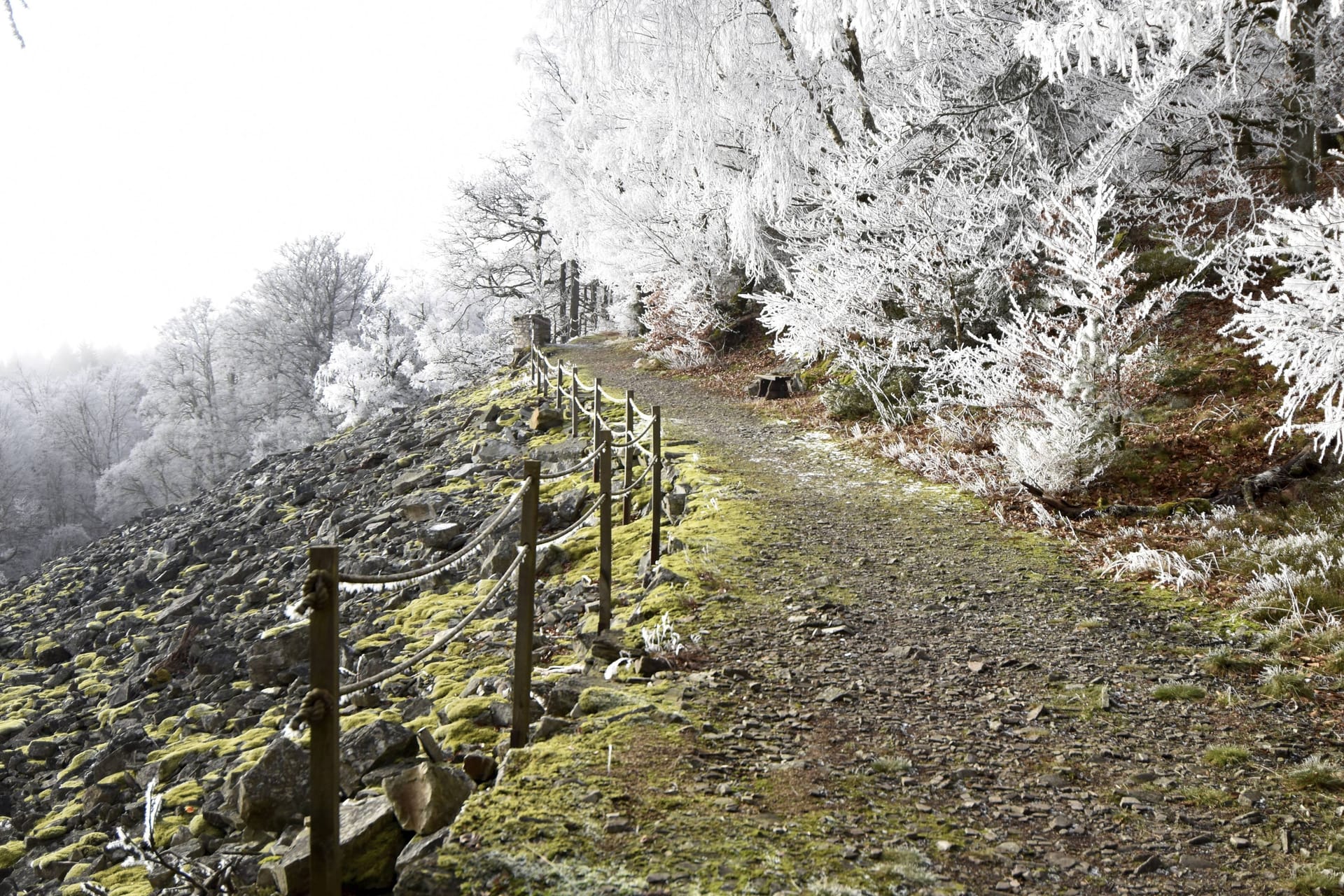 Mit Raureif bedeckt: Der Wanderweg entlang der Mörschieder Burr im Nationalpark Hunsrück-Hochwald.