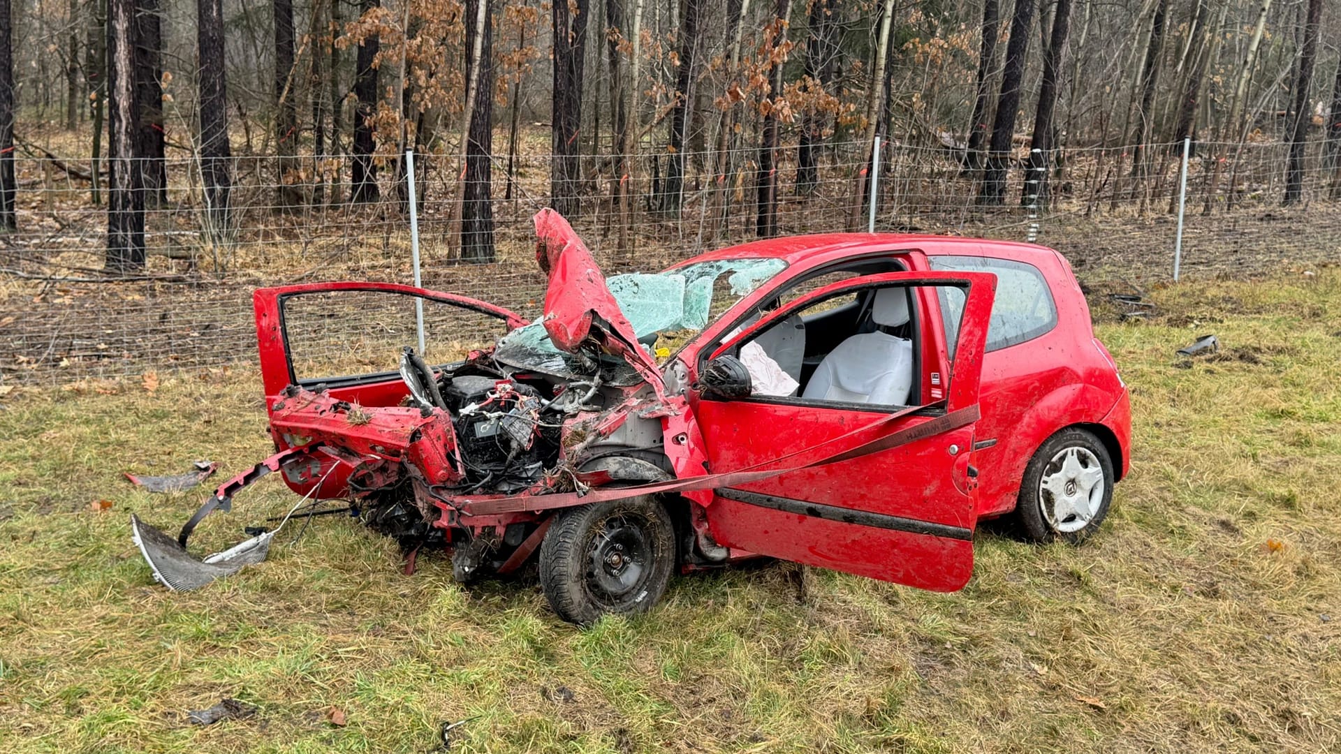 Der verunfallte Twingo: Für die Beifahrerin kam jede Hilfe zu spät.