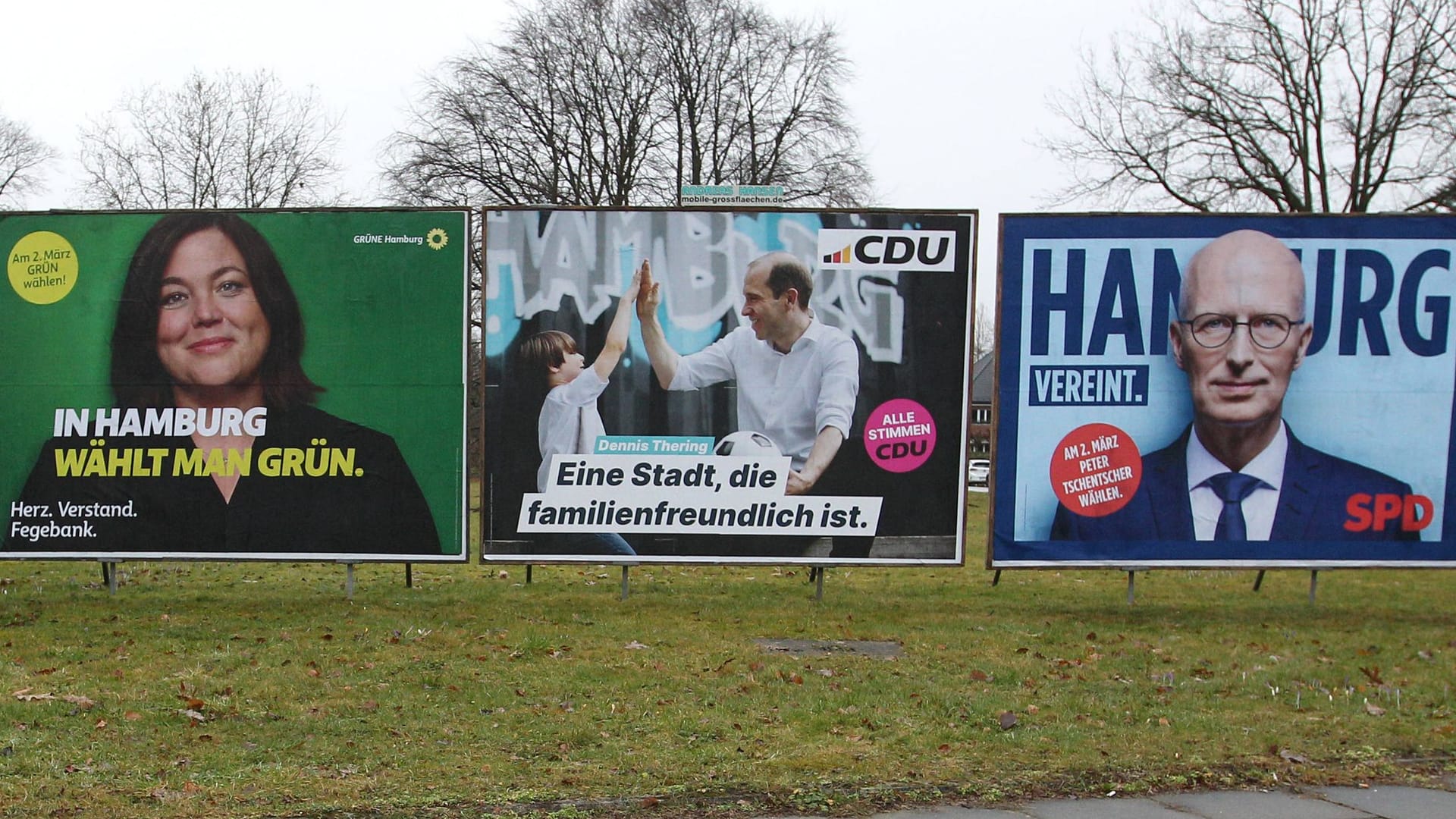 Wahlplakate zur Bürgerschaftswahl in Hamburg: Am kommenden Sonntag, 2. März, geben die Wähler ihre Stimmen ab.