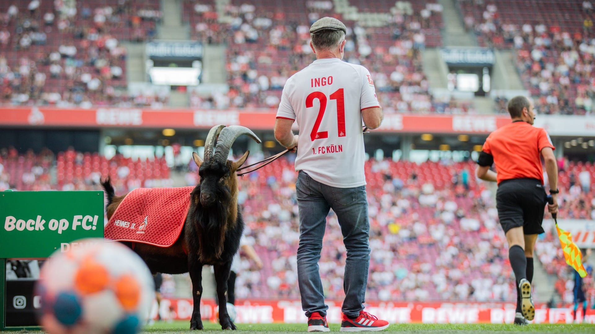 1. FC Köln - Hertha BSC