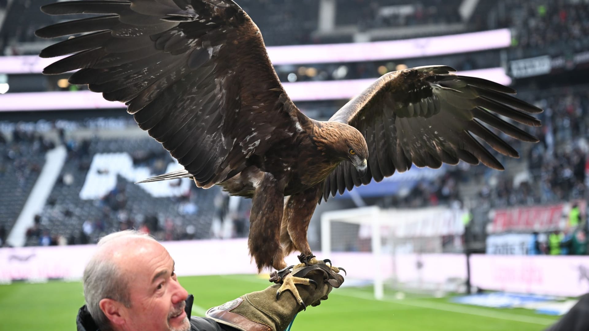 Eintracht Frankfurt - Holstein Kiel