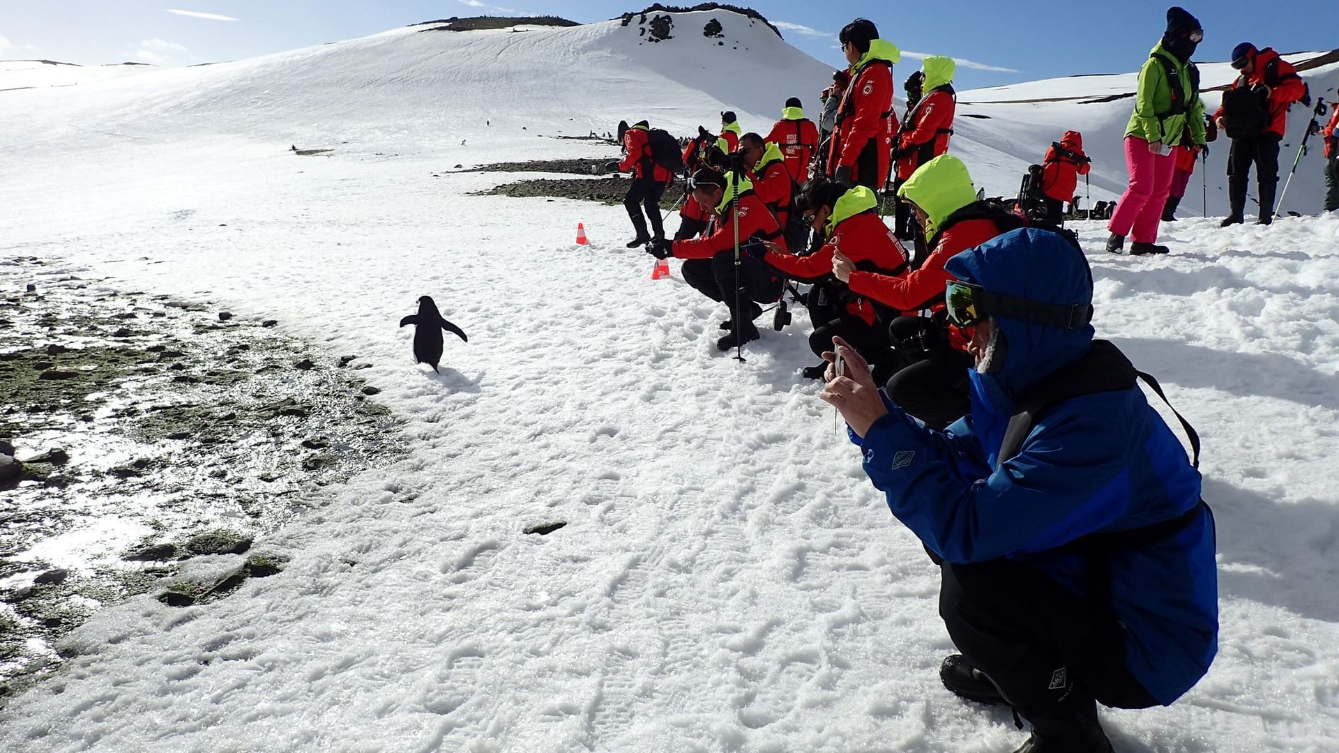 Tourismus in der Antarktis