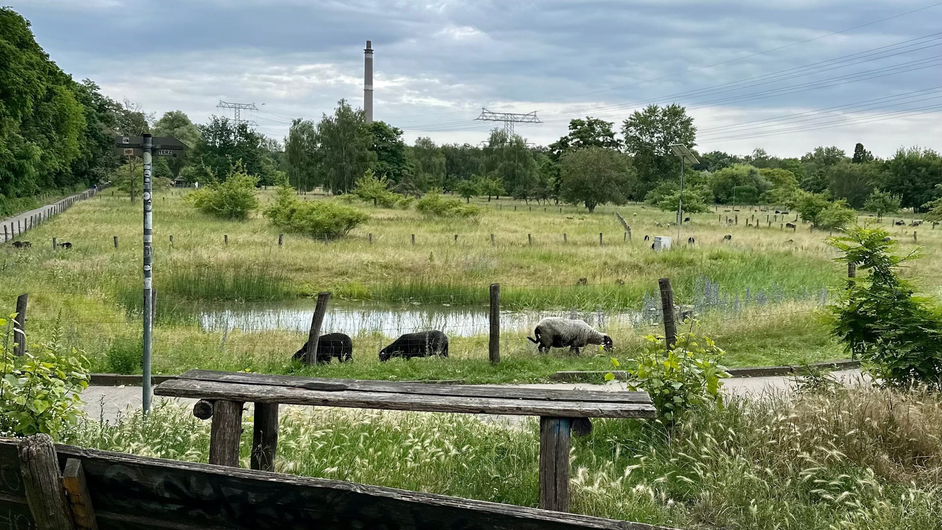 Landschaftspark Herzberge: Ein Geheimtipp in der Hauptstadt.