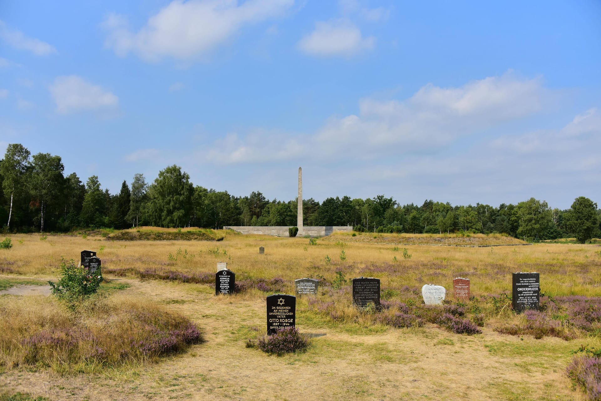 Zahlreiche Grabsteine erinnern an die Opfer von Bergen-Belsen.