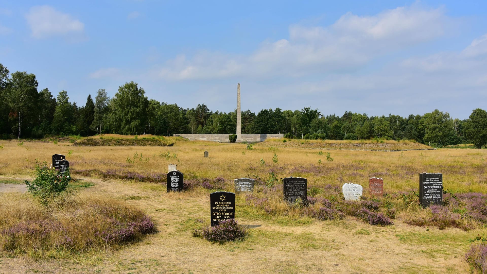 Zahlreiche Grabsteine erinnern an die Opfer von Bergen-Belsen.