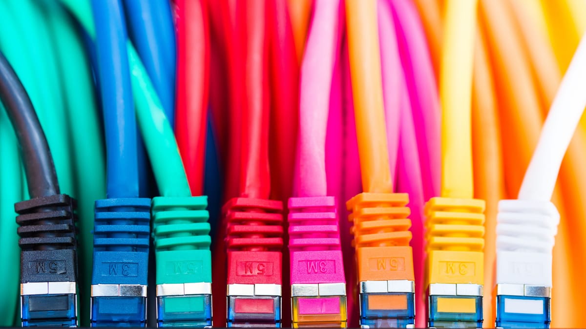 Farklılıkları tanıyın – Cat 7 ve Co.