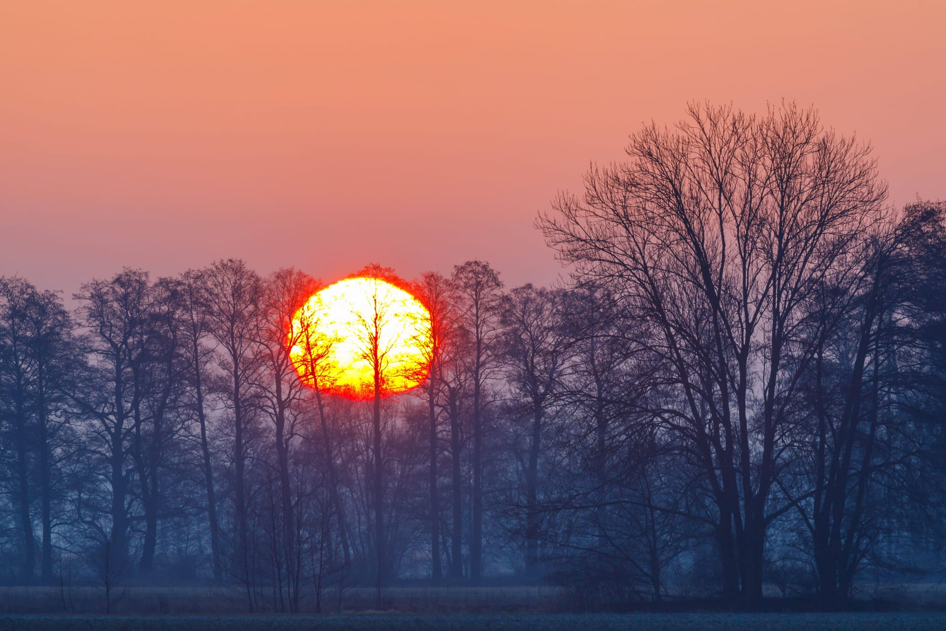 Die Sonne geht nach einer frostigen Nacht in der suedbrandenburgischen Lausitz auf. Deutschland erwarten in den kommenden Tagen eiskalte Temperaturen.