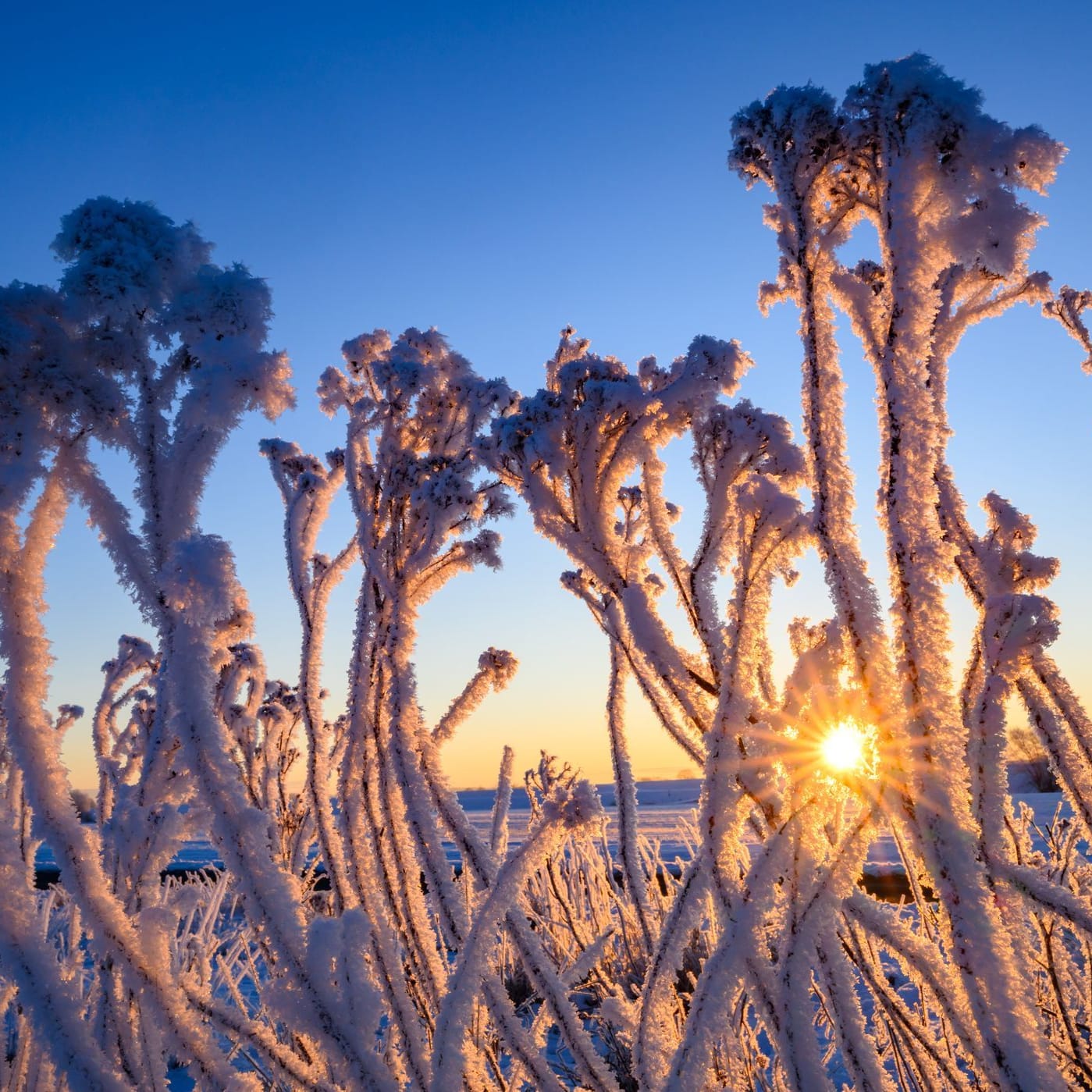 Winterwetter in Brandenburg