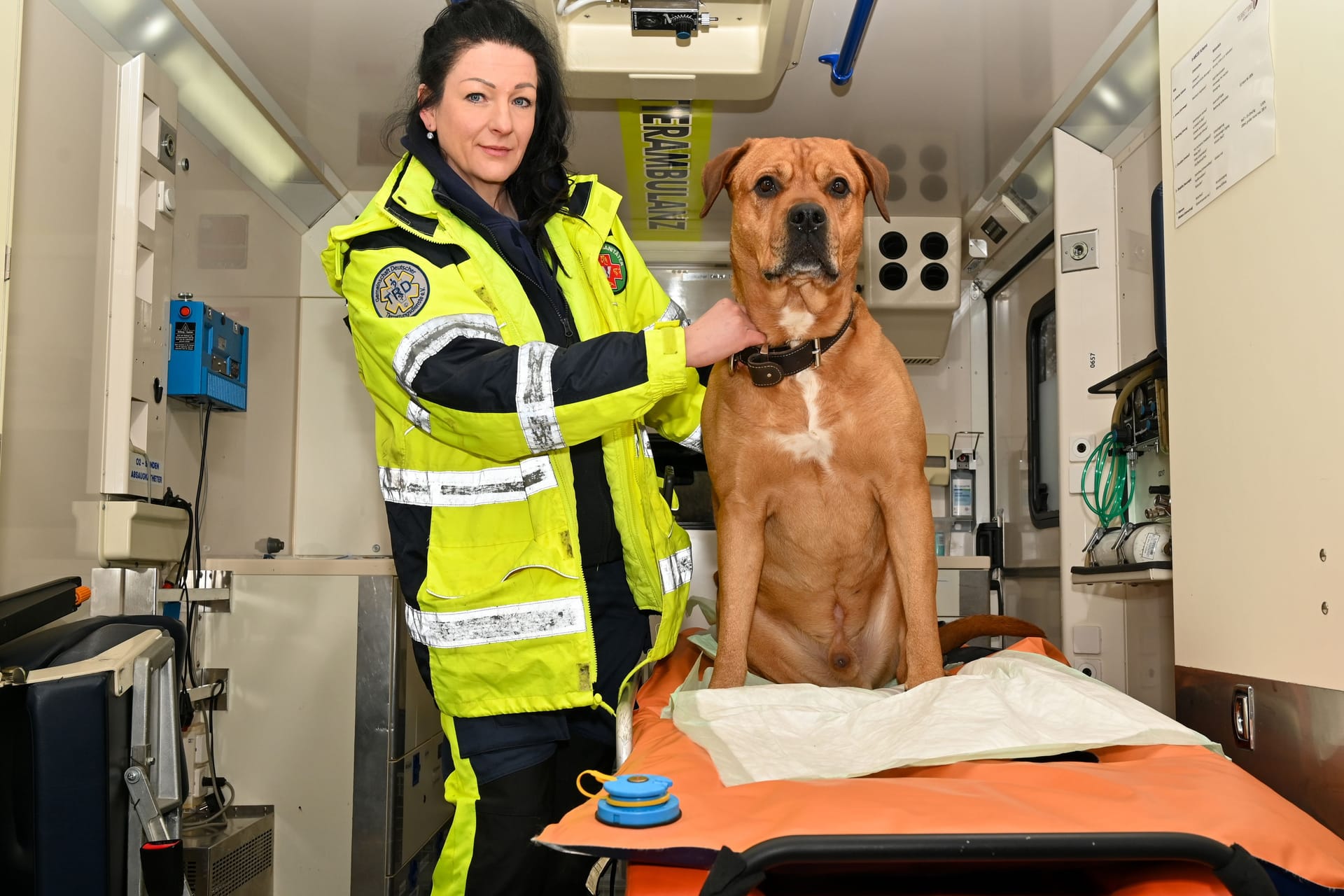 Sandra Kögel ist ehrenamtlich Herz und Seele der Tierrettung Chemnitz.