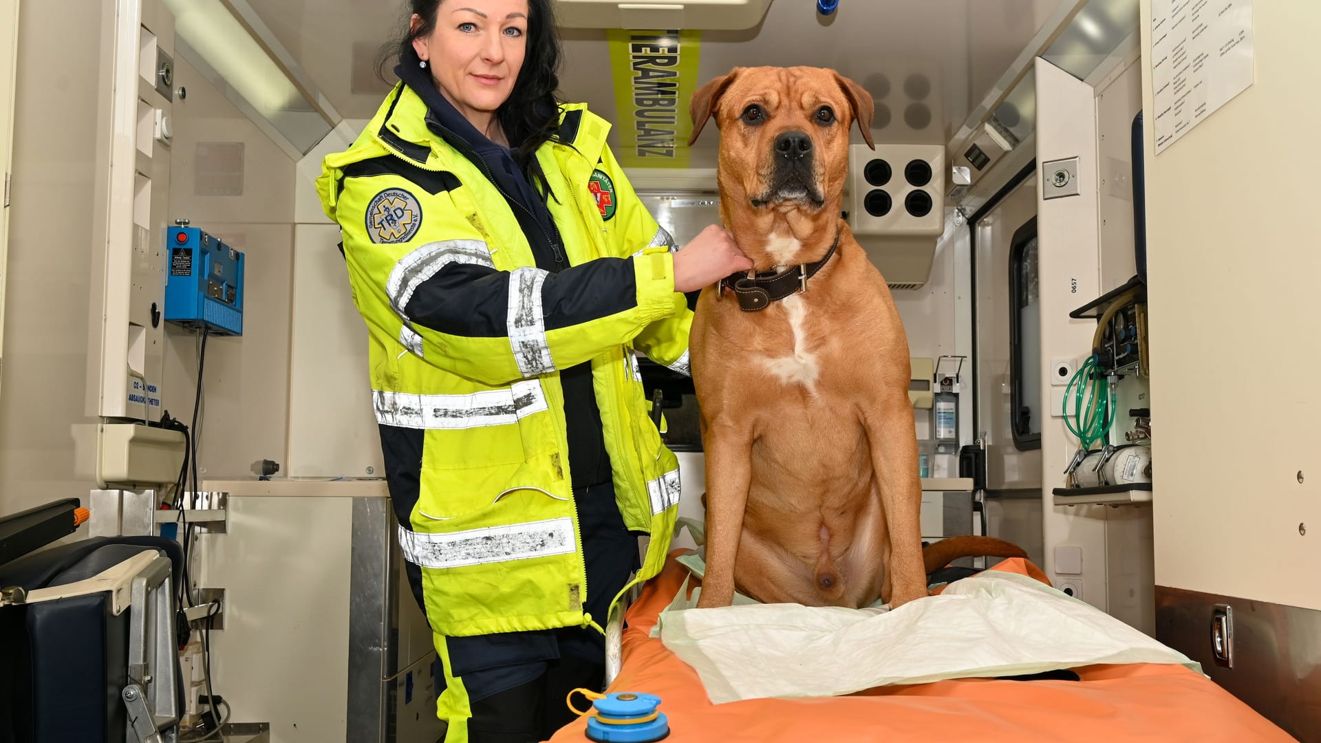 Sandra Kögel ist ehrenamtlich Herz und Seele der Tierrettung Chemnitz.