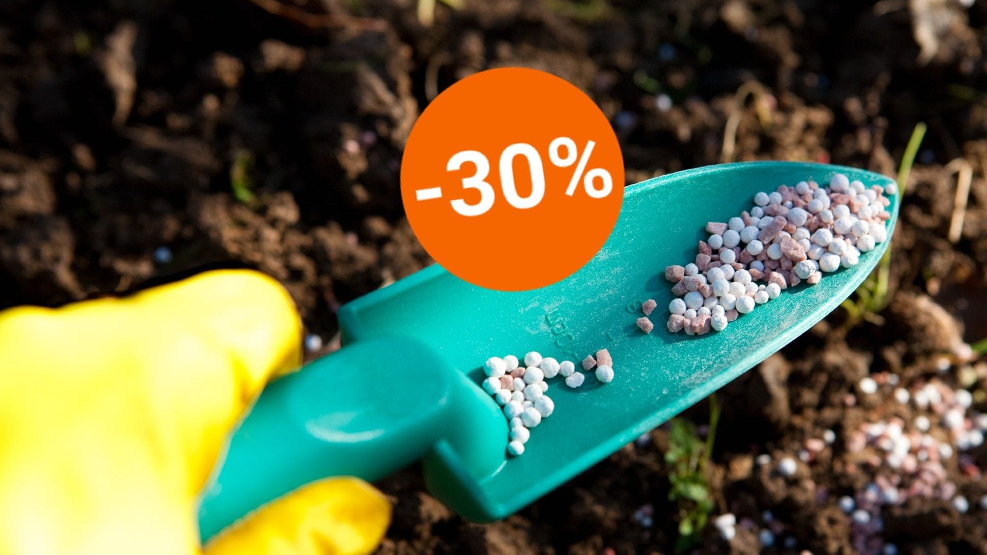 Sattes Grün für Ihren Garten – Heute gibt es bei Amazon Rasensamen zu stark reduzierten Preisen (Symbolbild).