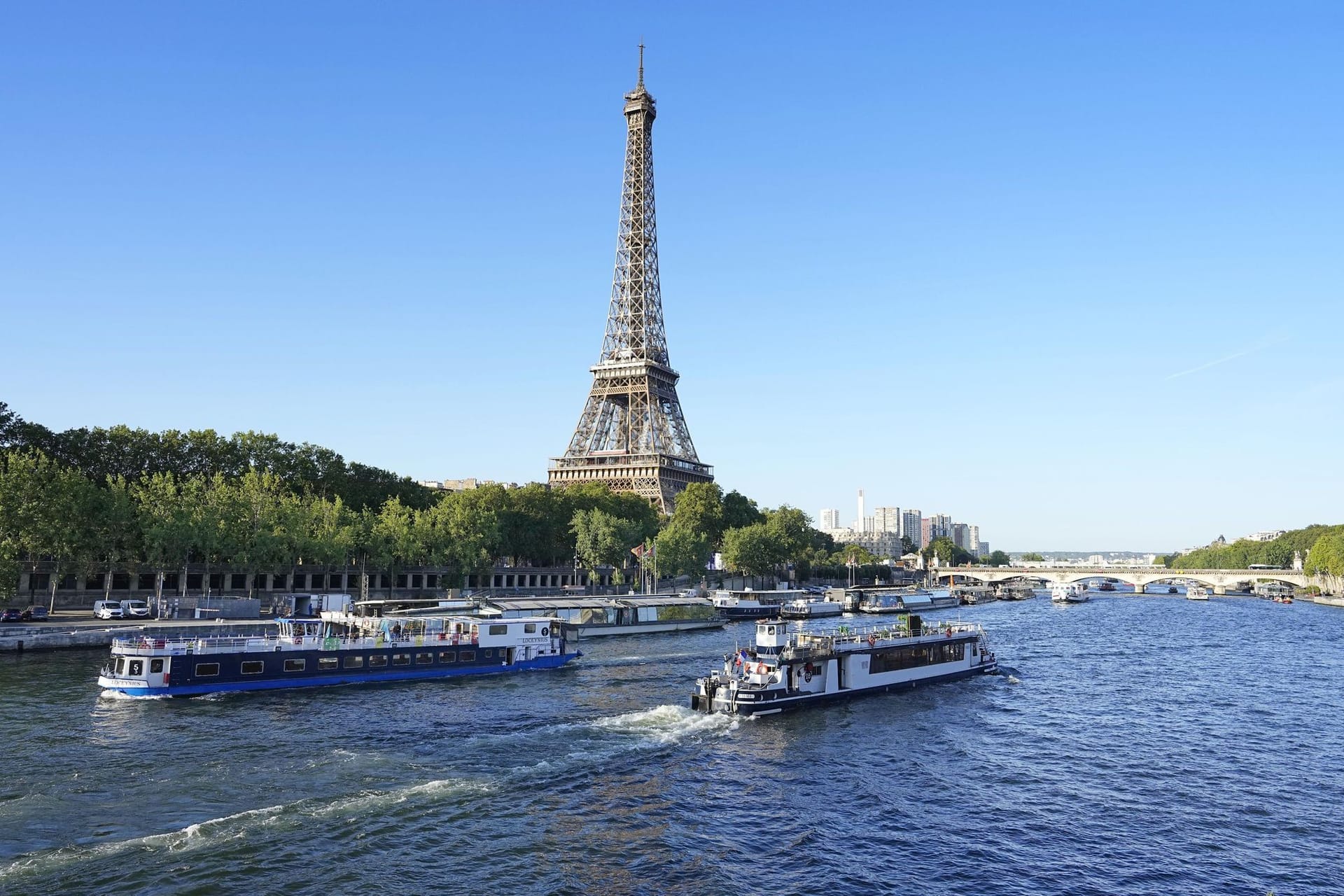 Bedrohte Muschelarten in Seine in Paris entdeckt