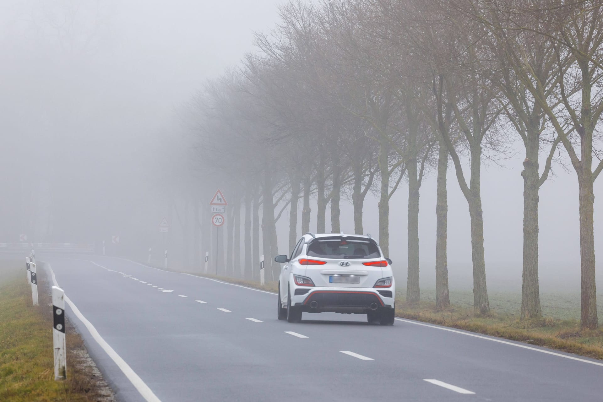 Ein Auto fährt in Brandenburg eine vernebelte Straße entlang: Das Wetter zeigt sich in Deutschland grau und kalt.