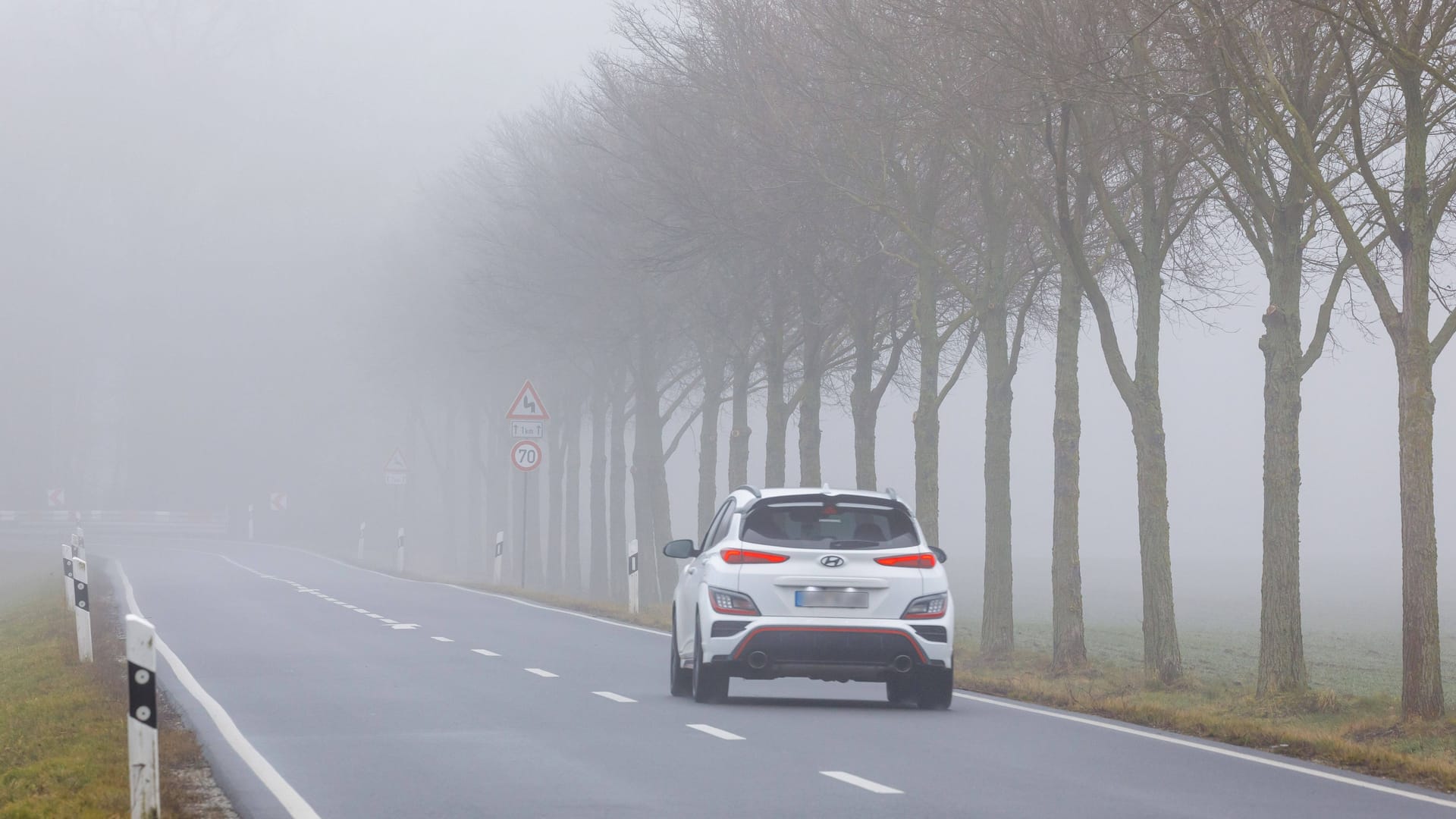 Ein Auto fährt in Brandenburg eine vernebelte Straße entlang: Das Wetter zeigt sich in Deutschland grau und kalt.