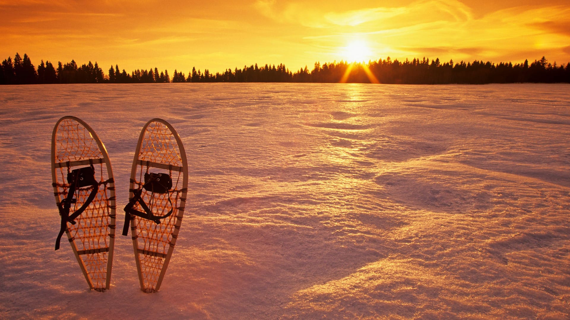 Ein paar traditioneller Schneeschuhe aus Holz.