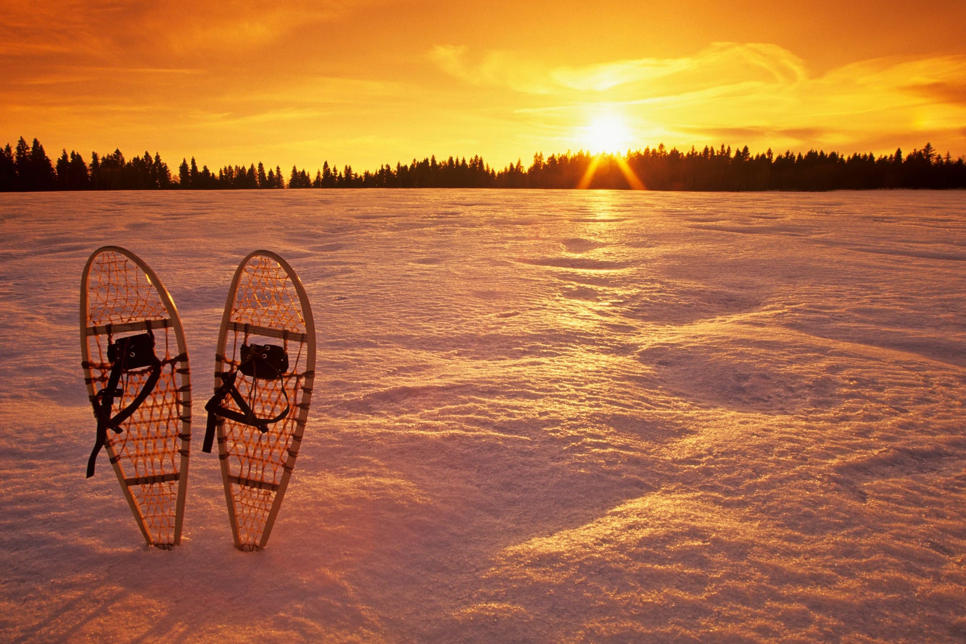 Ein paar traditioneller Schneeschuhe aus Holz.