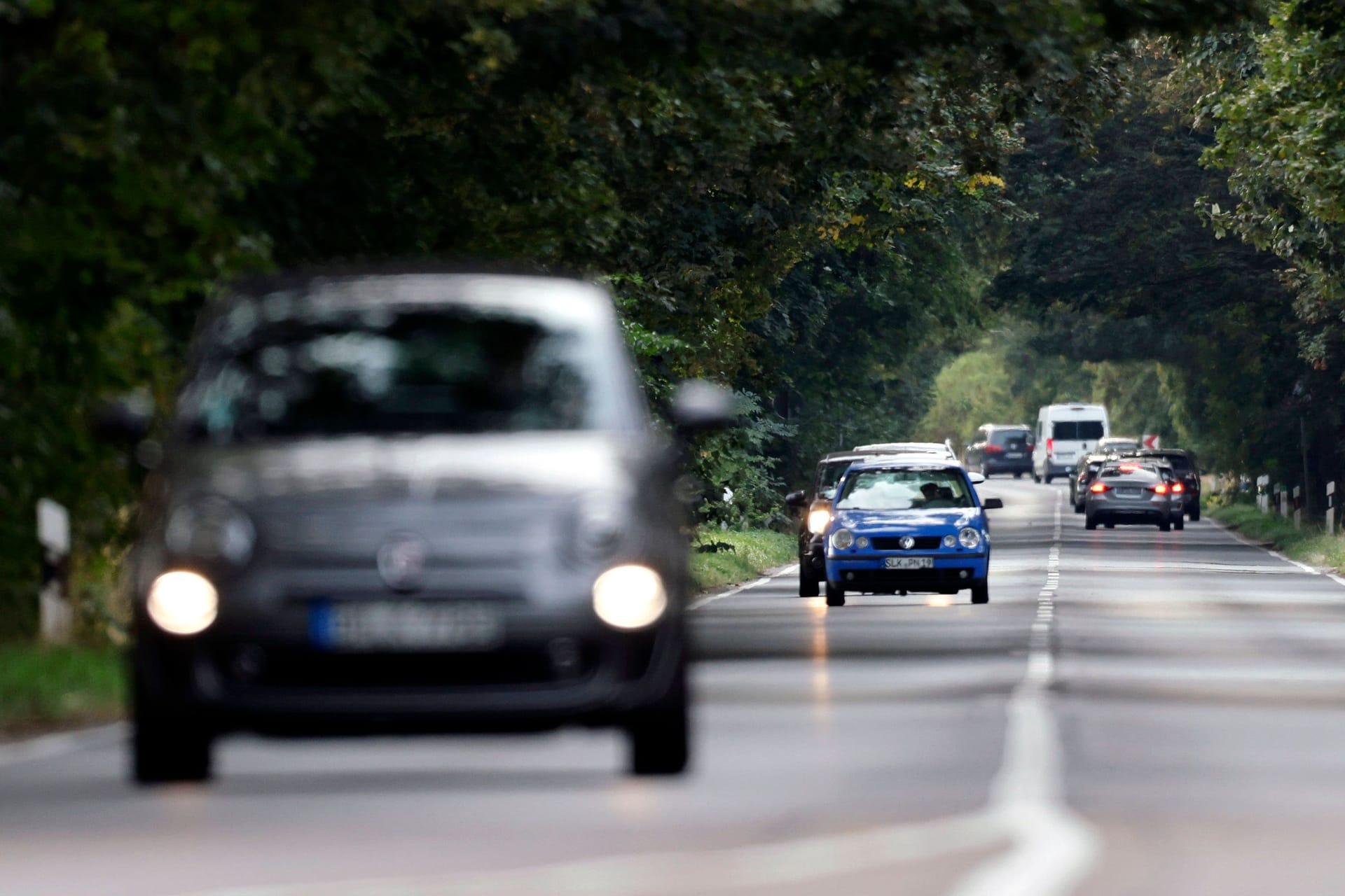 Fahren auf der Landstraße: Beim Überholen unbedingt auf ausreichend weite Sicht achten.