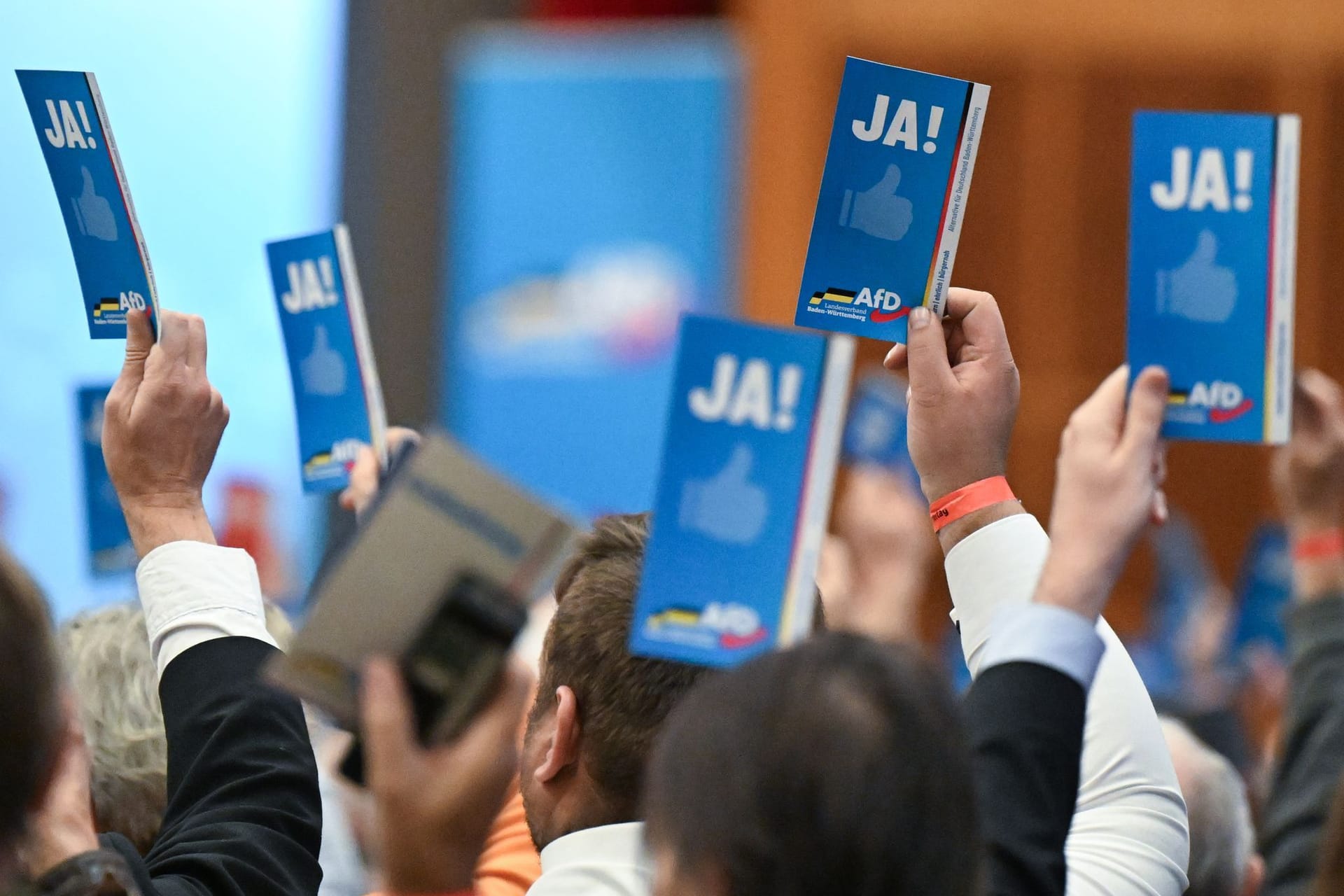 Landesparteitag AfD Baden-Württemberg