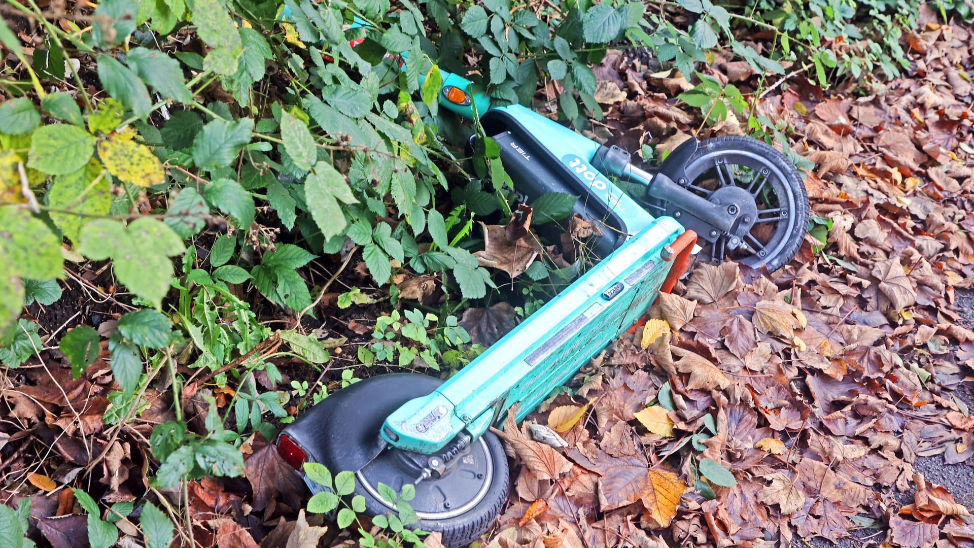 Ein E-Scooter (Archivbild): In Hamburg ist ein Mann bei einem Sturz ums Leben gekommen.