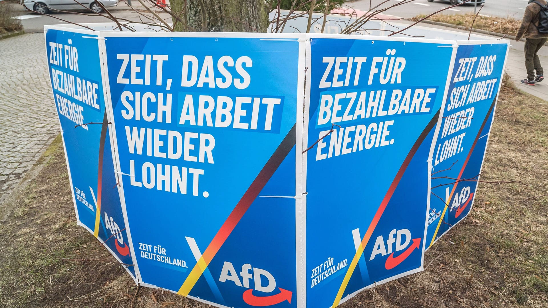 AfD-Wahlplakate (Symbolbild): In Hannover gaben 11,6 Prozent der Wählenden ihre Zweitstimme der AfD.