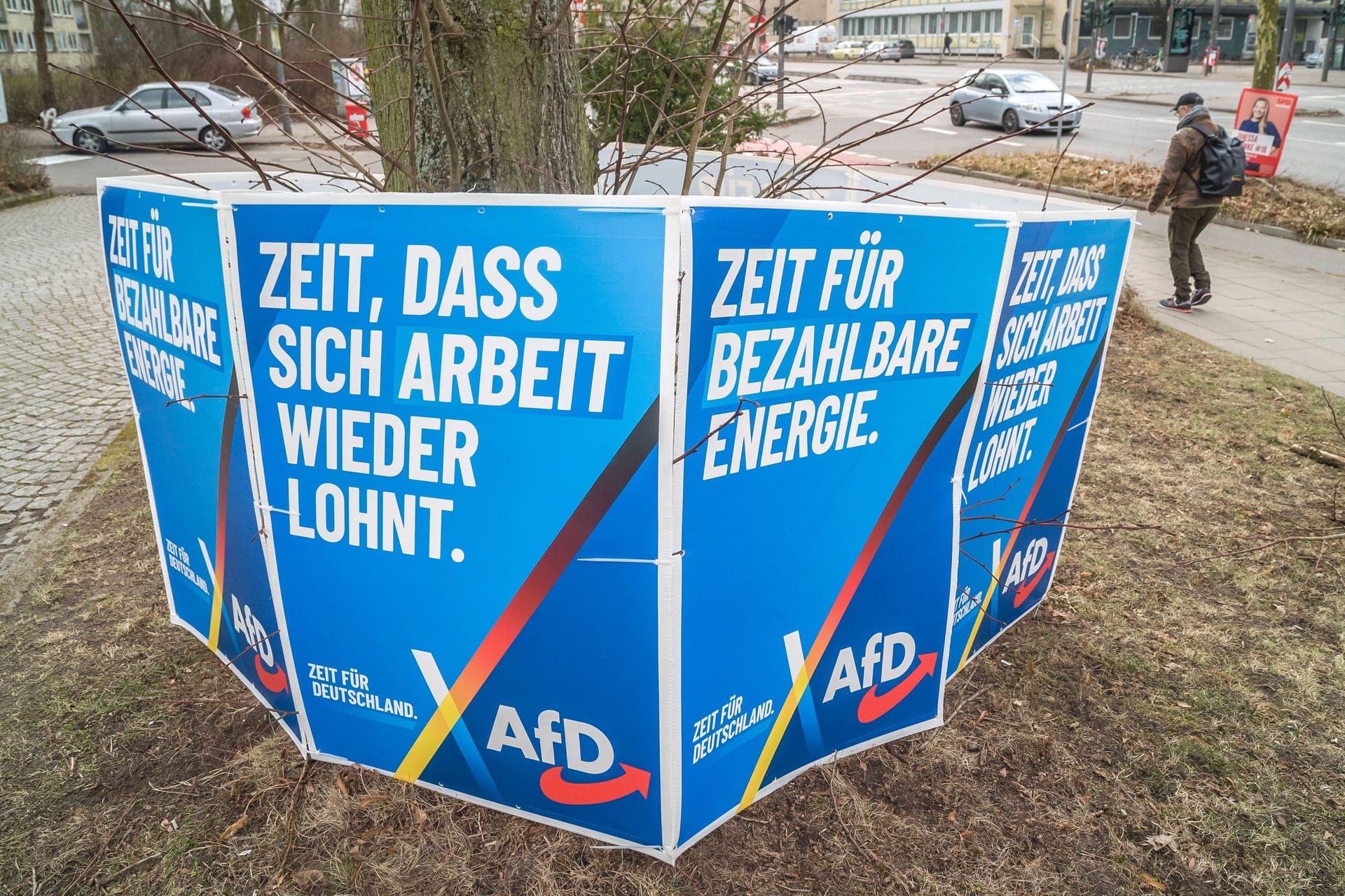 AfD-Wahlplakate (Symbolbild): In Hannover gaben 11,6 Prozent der Wählenden ihre Zweitstimme der AfD.