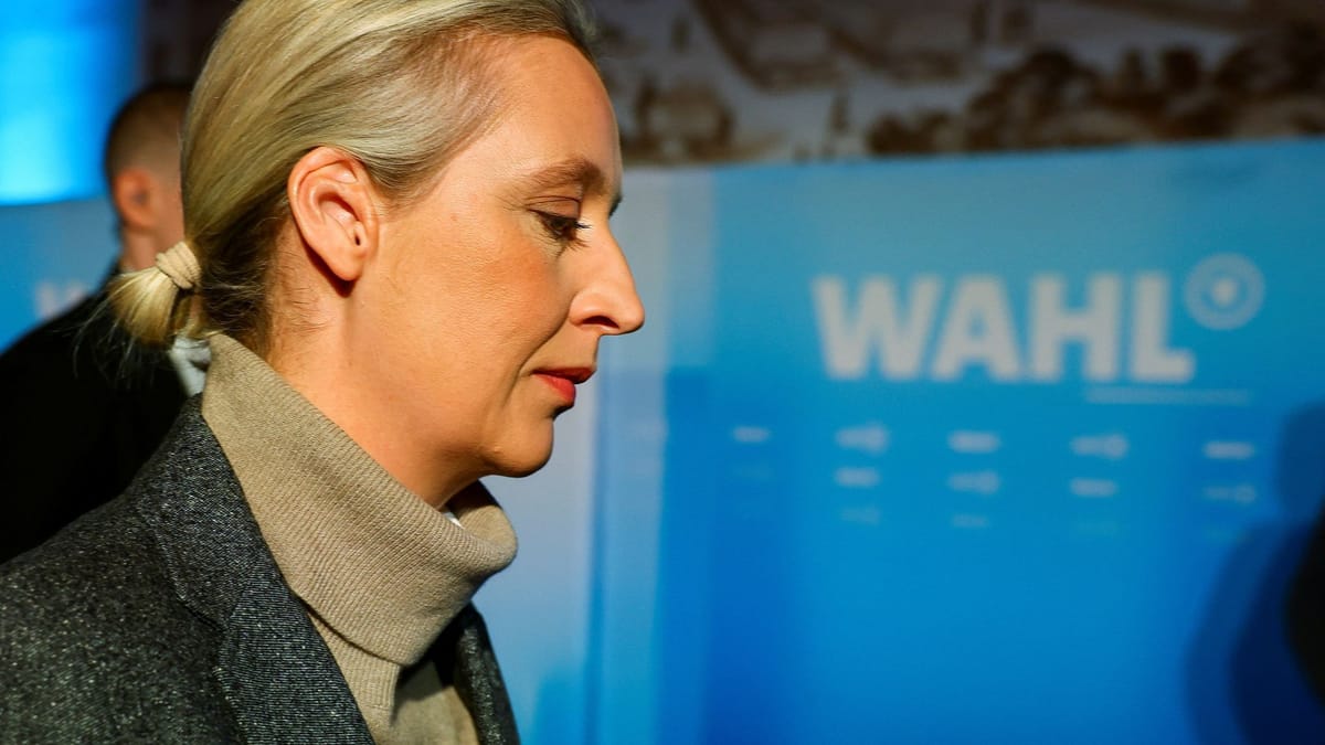 afd-deutsche-wirtschaftsbosse-warnen-eindringlich-vor-wahl-der-partei