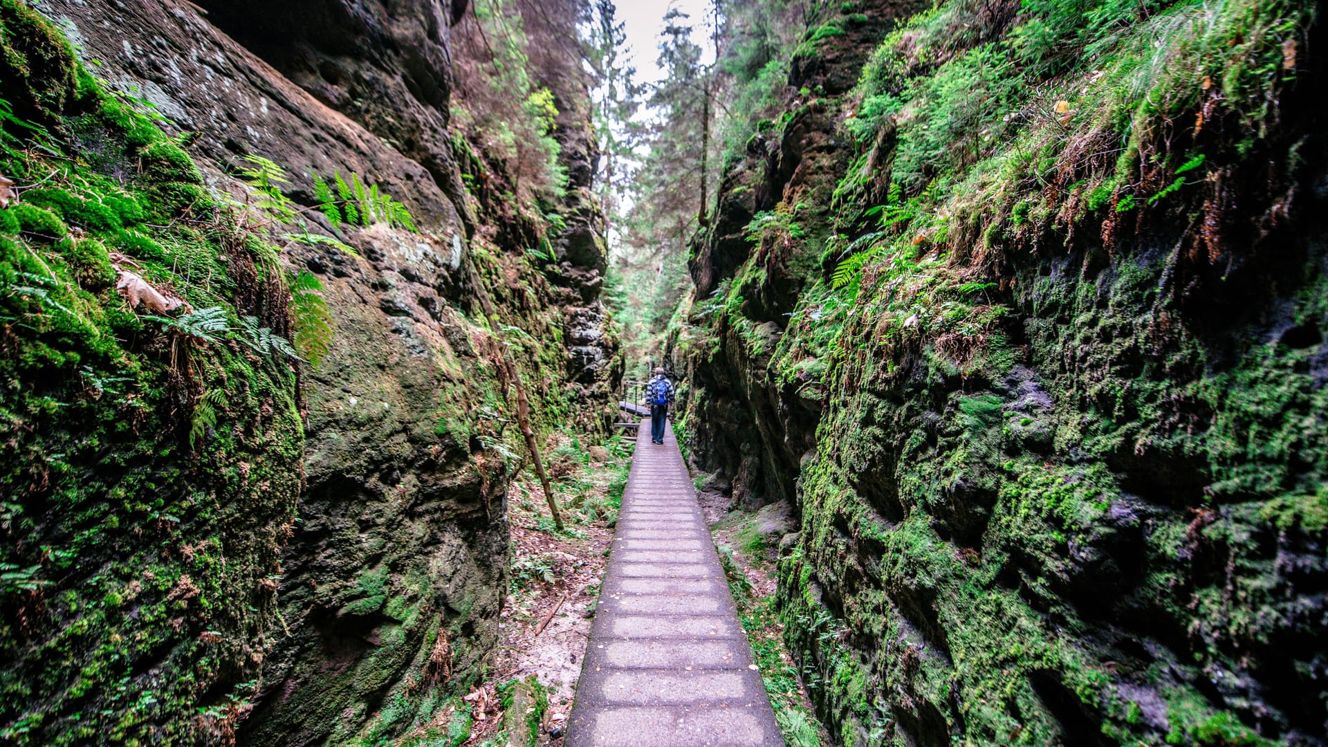 Elbsandsteingebirge: Eine Wanderung durch die Schlucht Schwedenlöcher führt an bizarren Felsformationen vorbei.