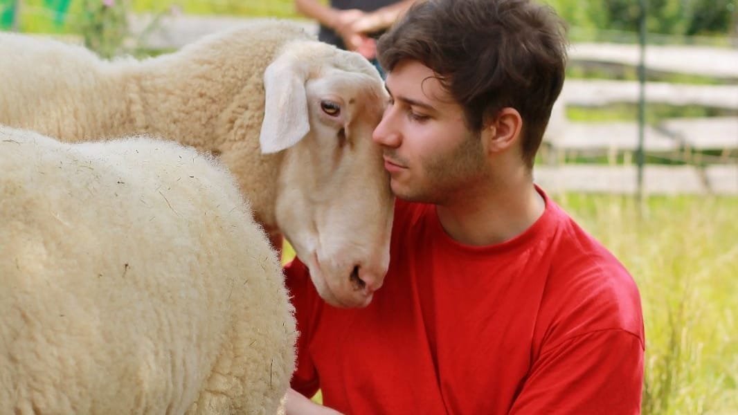 "Tierschutz? Wird schon passen": Dennis Landgraf mit einem Schaf.