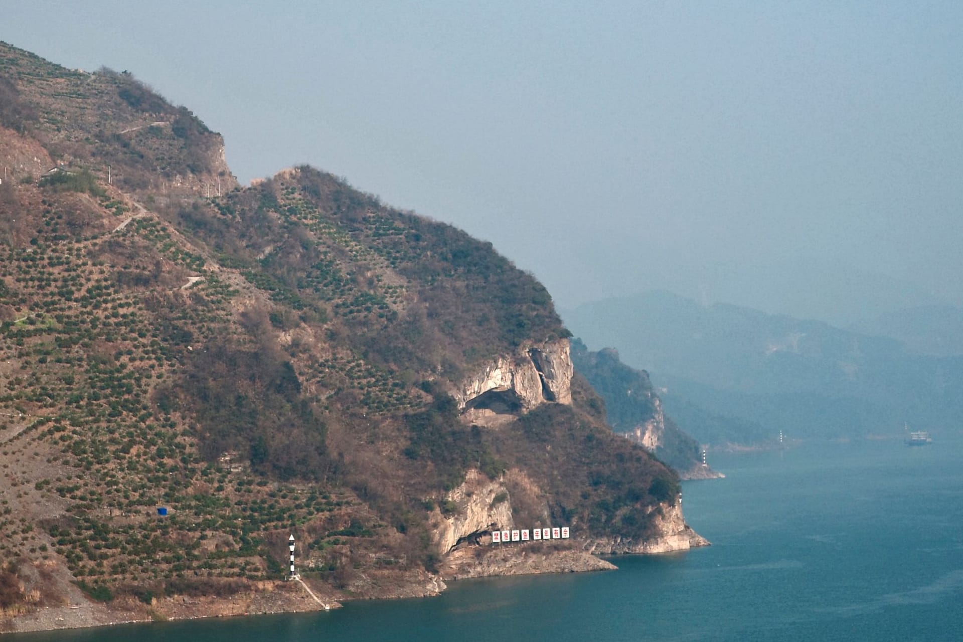 Der "Welpenberg" in China: Im Internet sorgte das Foto des Hügels für Begeisterung.