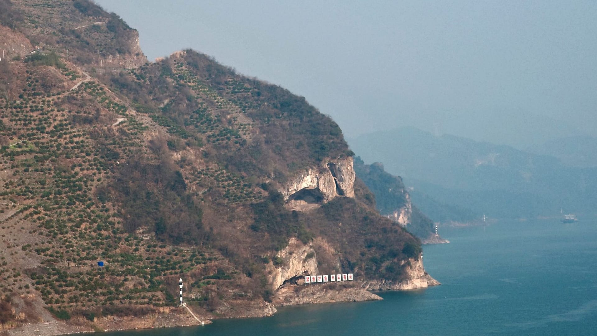 Der "Welpenberg" in China: Im Internet sorgte das Foto des Hügels für Begeisterung.