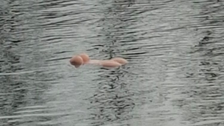 Eine Gummipuppe treibt auf dem Mittellandkanal: Die Feuerwehr angelte sie aus dem Wasser.