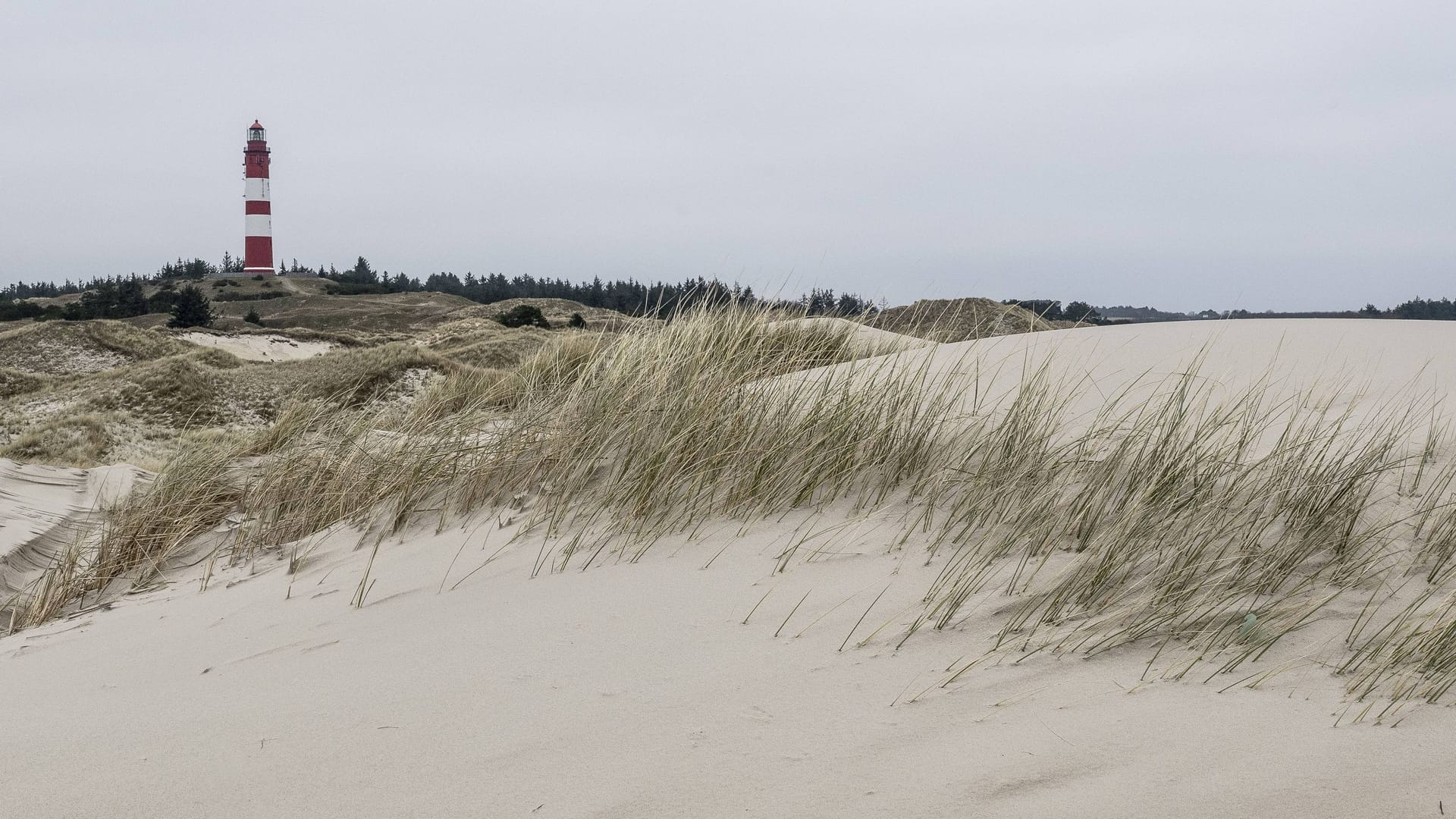 Dünenlandschaft mit Leuchtturm: Auf Amrum können Touristen die Ruhe genießen.