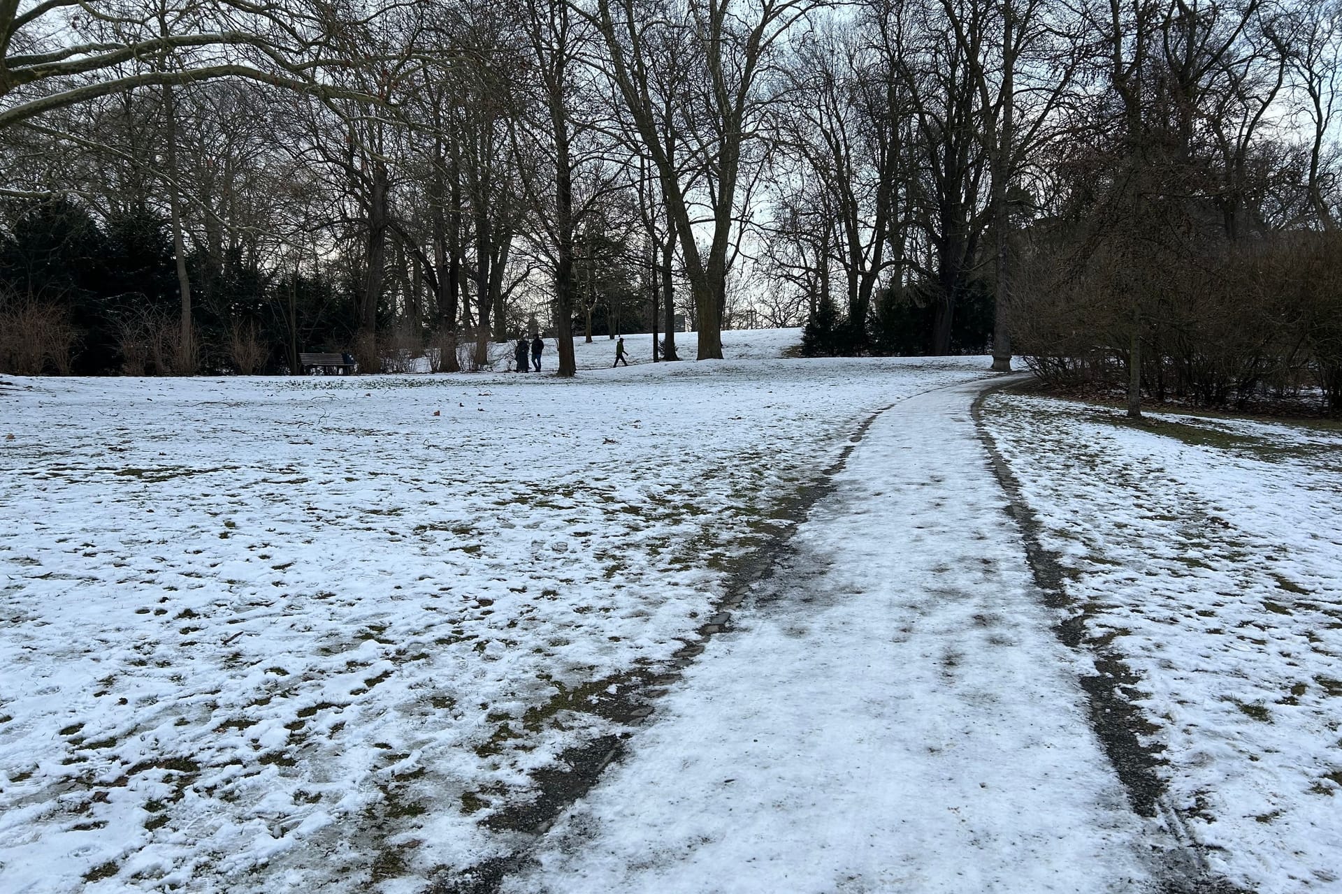 Schnee und Eis im Park: In Braunschweig herrscht zum Wochenstart klirrende Kälte.