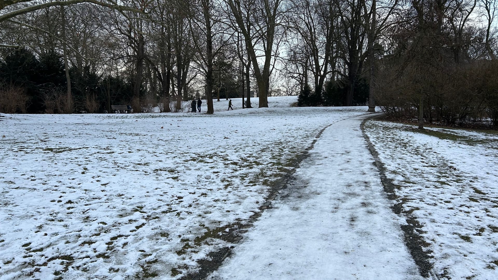 Schnee und Eis im Park: In Braunschweig herrscht zum Wochenstart klirrende Kälte.