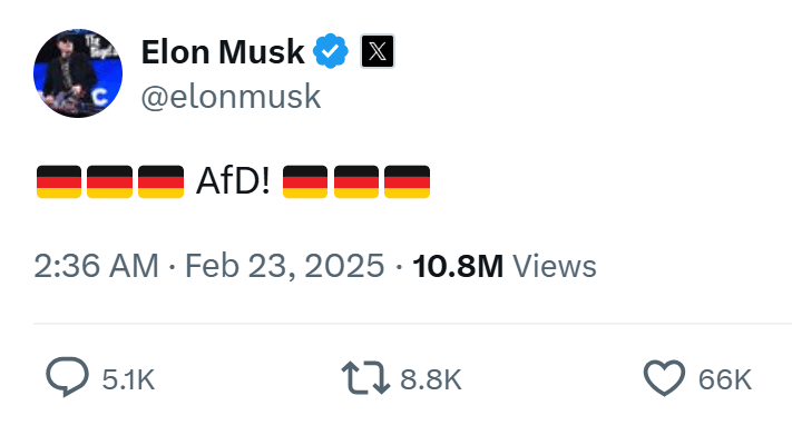 Elon Musk: Die AfD-Wahlempfehlungen für die AfD mit den meisten Likes kamen von ihm und seinem Umfeld.