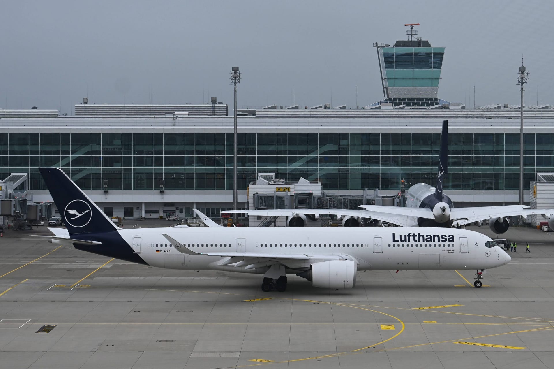 Ein Lufthansa A350 steht in München (Archivbild): Auf dem Weg von Shanghai nach München musste am Mittwoch eine Maschine in Wien auftanken.