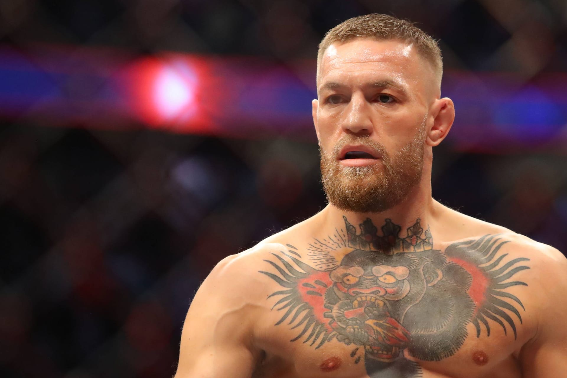 Conor McGregor: Er schaffte es als Erster, UFC-Titel in zwei verschiedenen Gewichtsklassen gleichzeitig zu halten.